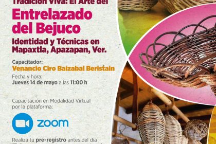 Bejuco